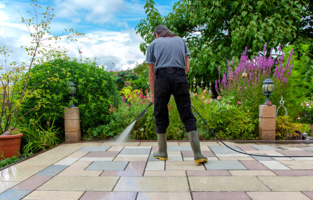 Best Sidewalk and Walkway Pressure Cleaning in Roanoke, VA
