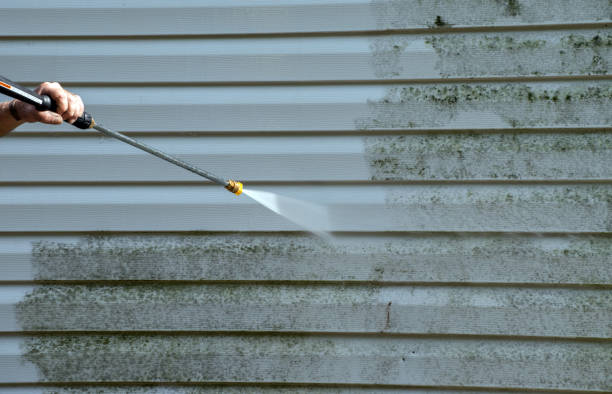 Trusted Roanoke, VA Pressure Washing Services Experts
