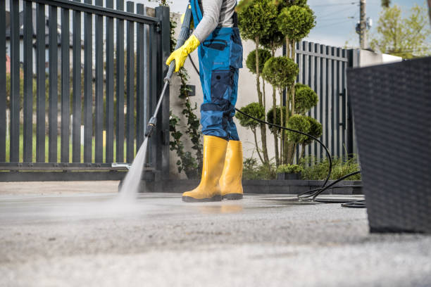 Best Window and Screen Pressure Cleaning in Roanoke, VA